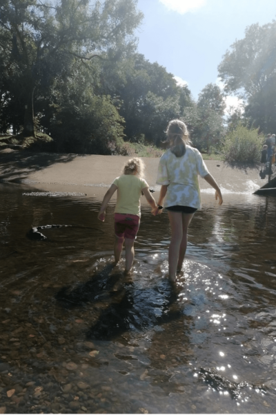 Capture5464564-transformed